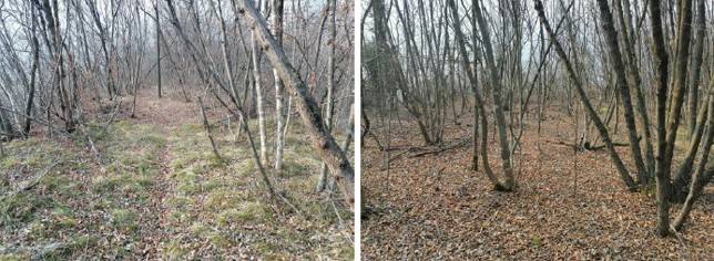 Palazzo / stabile a Trento in Località Campagnola - Foto 3