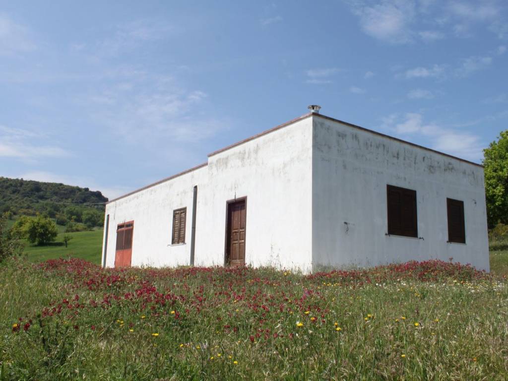 Rustico / casale a Nova siri in Contrada Pietrosa - Foto 2