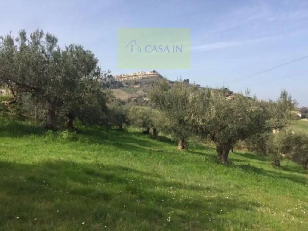 Terreno a Silvi in Contrada Stagliano S.N.C. - Foto 3