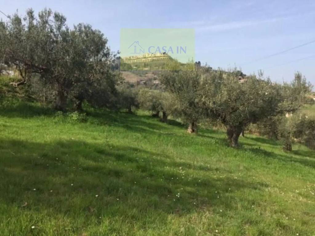 Terreno a Silvi in Contrada Stagliano S.N.C. - Foto 4