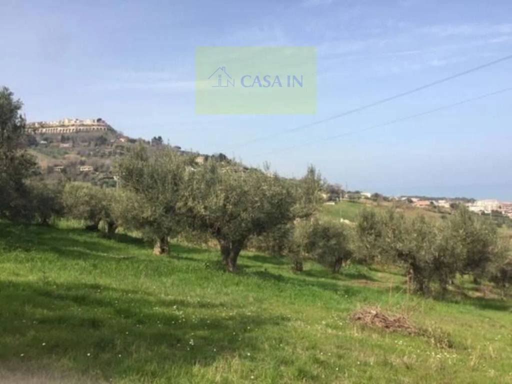 Terreno a Silvi in Contrada Stagliano S.N.C. - Foto 5