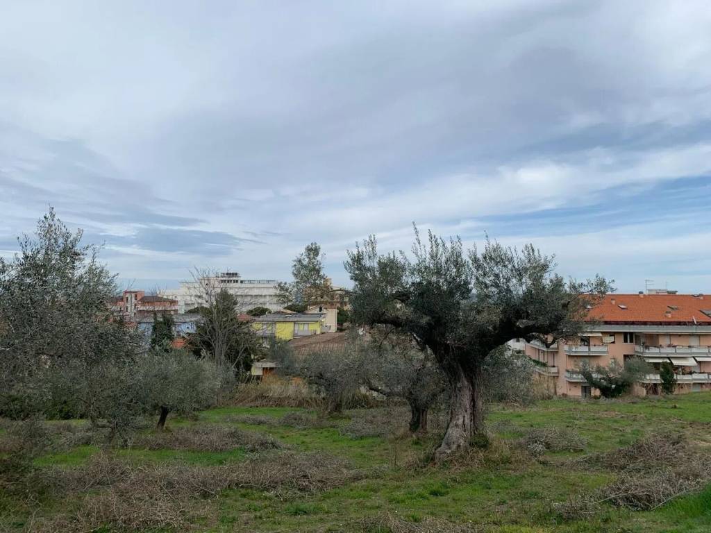 Terreno a Silvi in Via Dei Colli S.N.C. - Foto 2