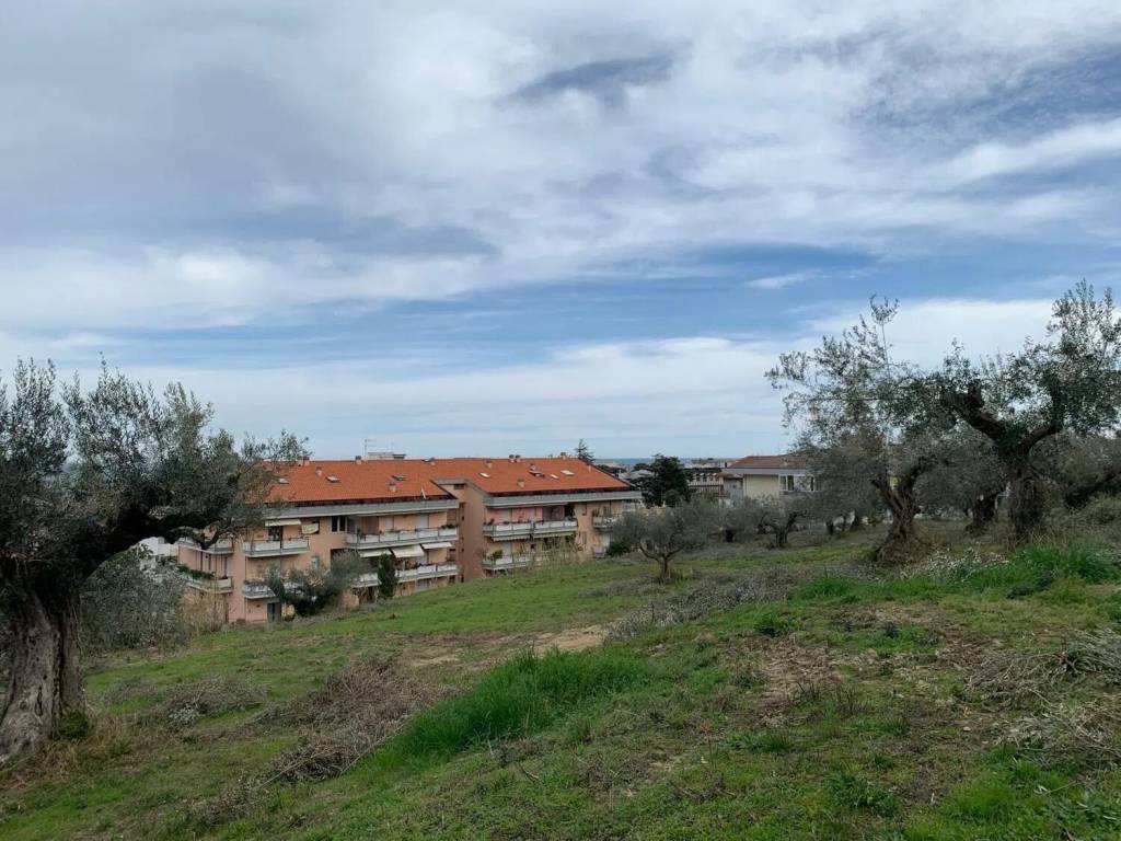 Terreno a Silvi in Via Dei Colli S.N.C. - Foto 5