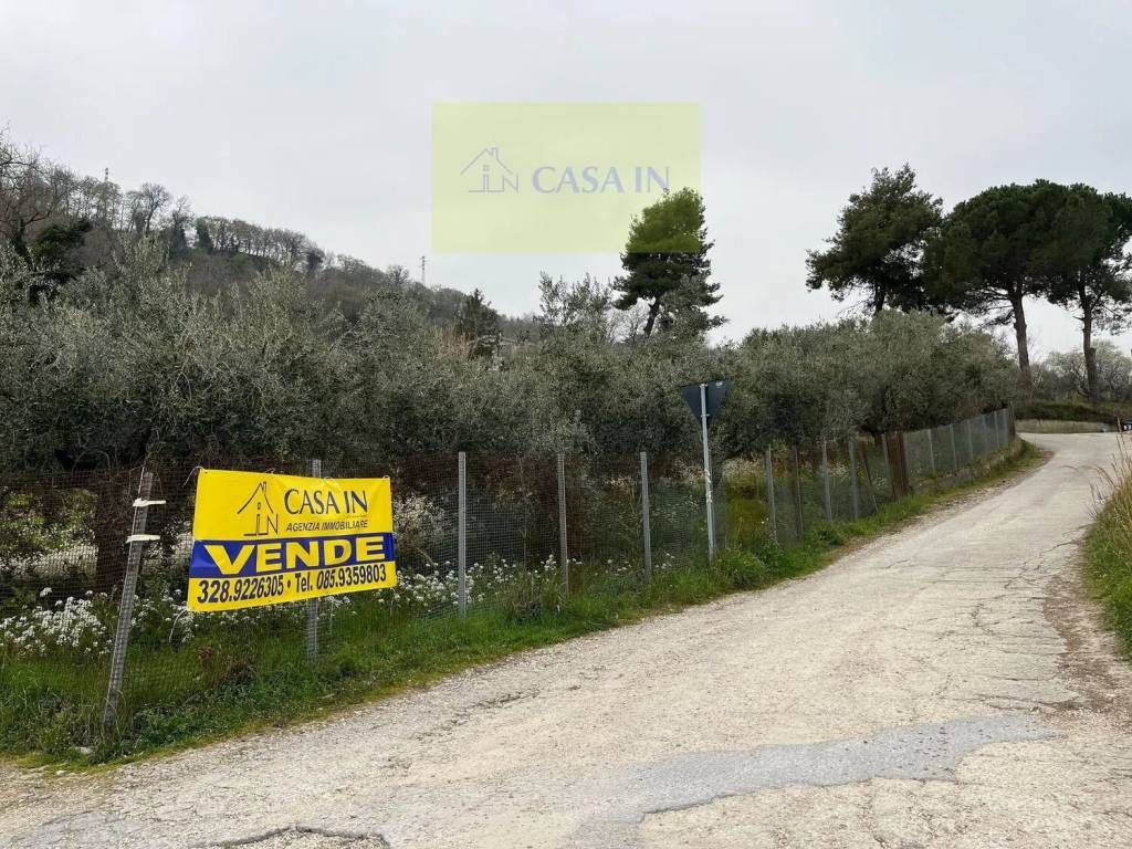 Terreno a Silvi in Strada Statale 553 S.N.C. - Foto 2