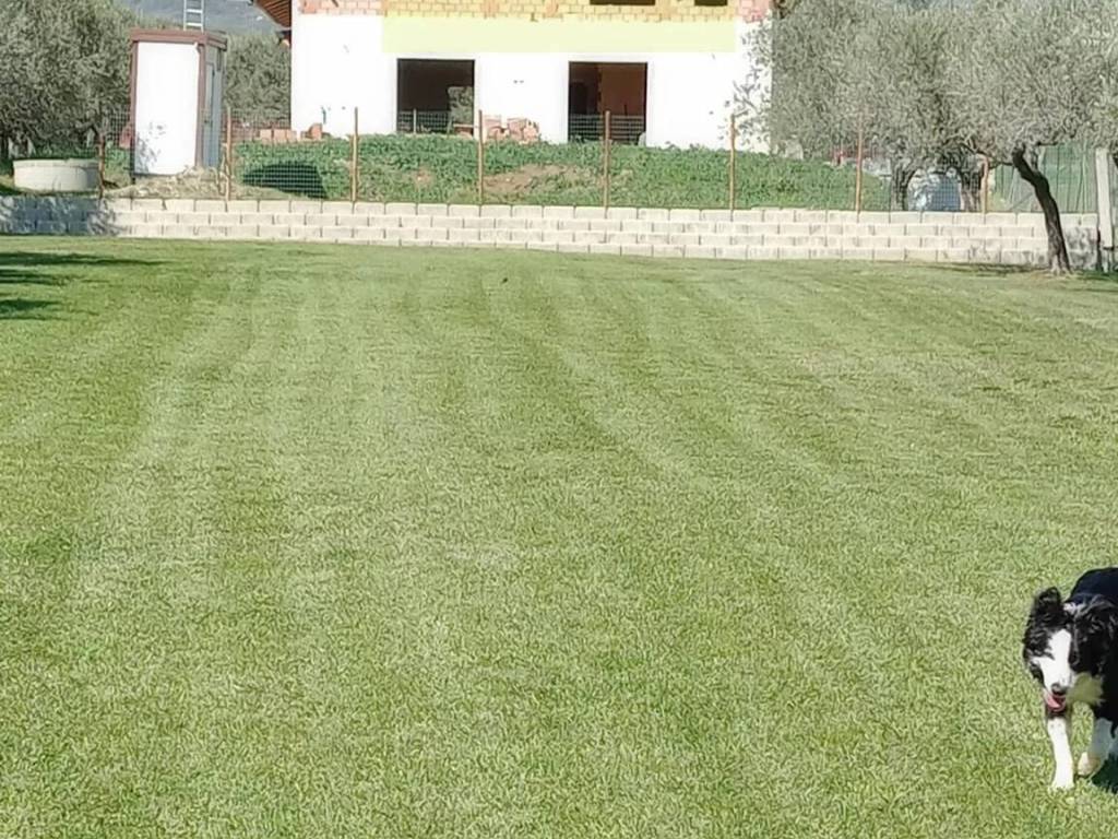 Villa a Loreto aprutino in Strada Senza Nome S.N.C. - Foto 2