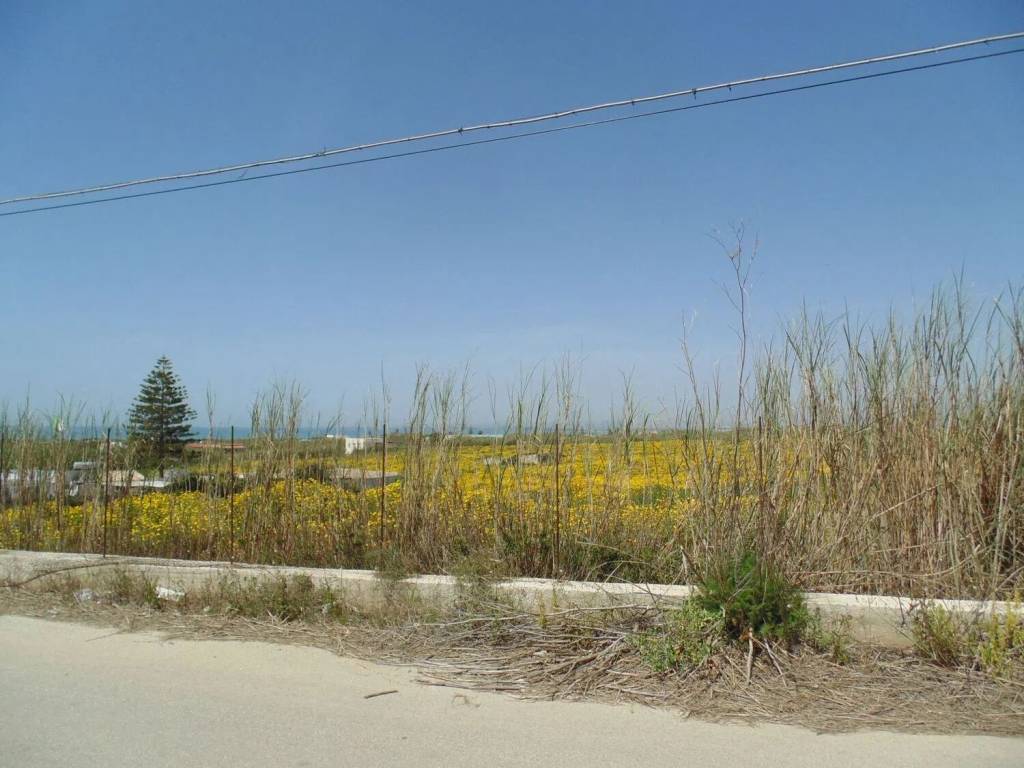 Terreno a Pachino in Contrada Baronello S.N.C. - Foto 4