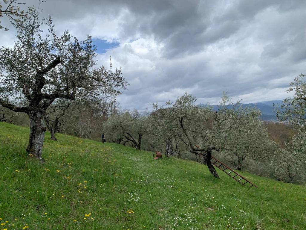 Terreno a Miranda in Strada Interpoderale Vignalete - Foto 4