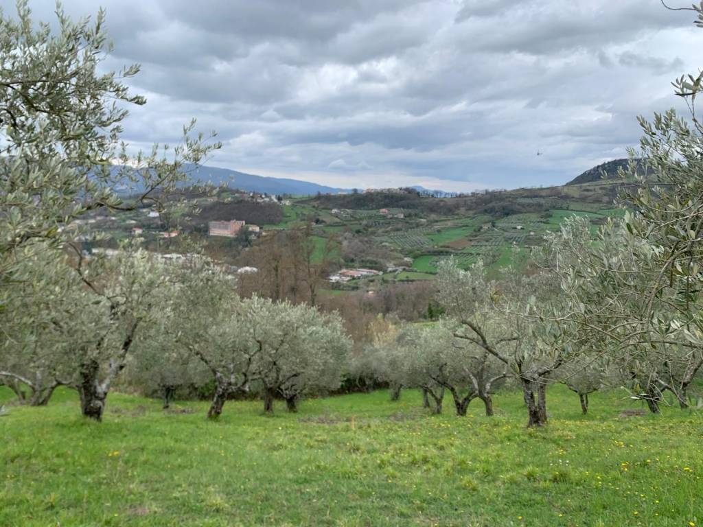 Terreno a Miranda in Strada Interpoderale Vignalete - Foto 5
