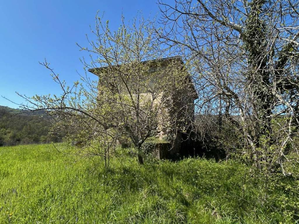 Rustico / casale a Casalvieri in via S.Pietro - Foto 4