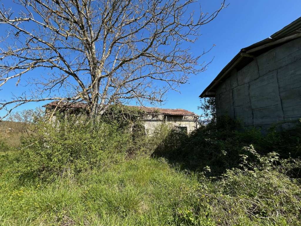 Rustico / casale a Casalvieri in via S.Pietro - Foto 3