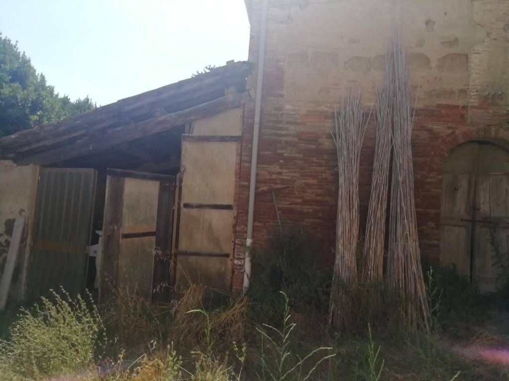 Rustico / casale a San miniato - Foto 3