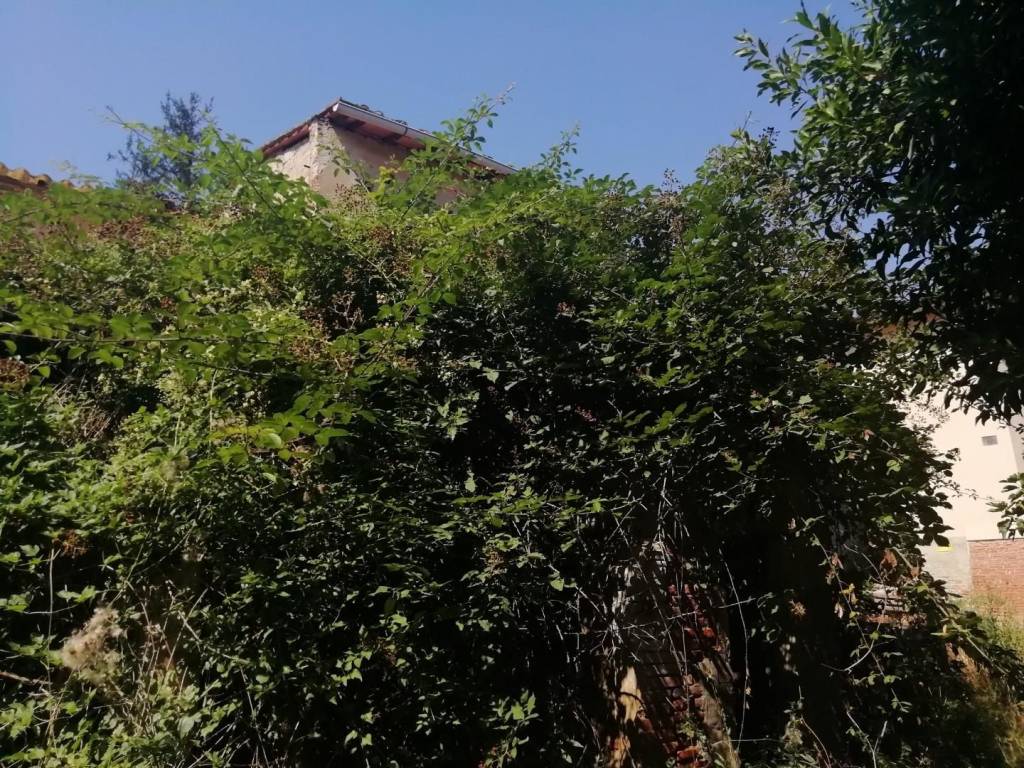 Rustico / casale a San miniato - Foto 5