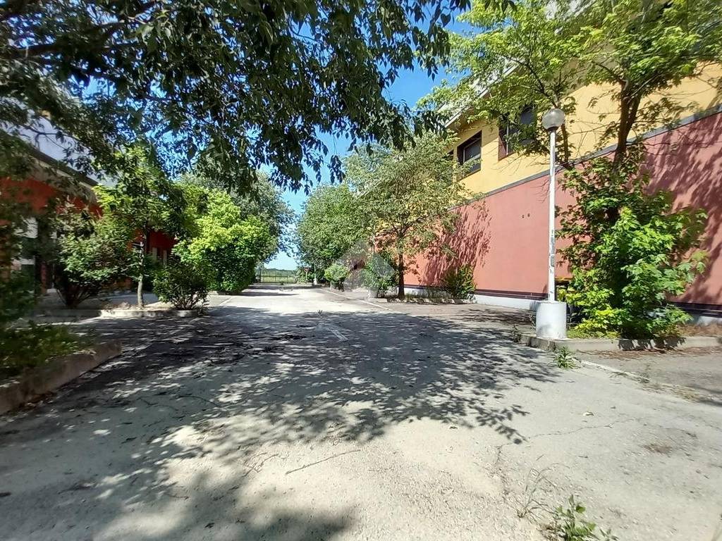 Immobile a Massa lombarda in Via Trebeghino, 63 - Foto 4