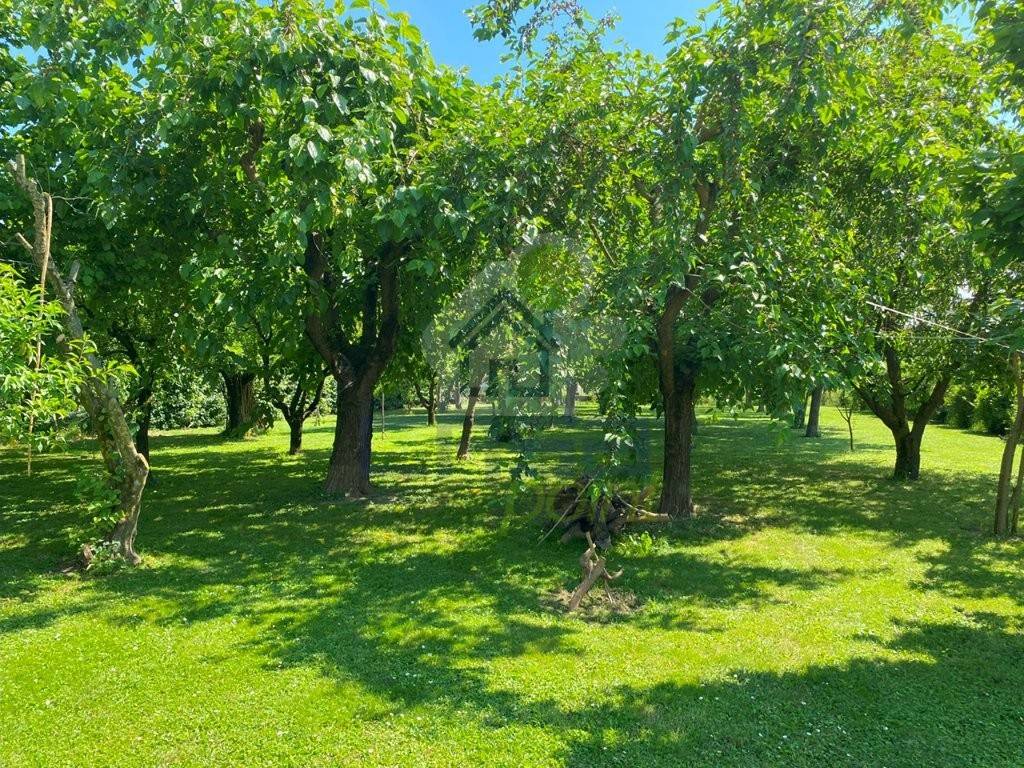 Casa indipendente a Boretto in via cecoslovacchia - Foto 5