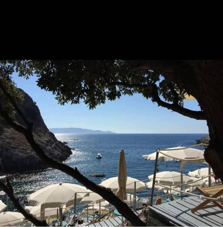 Palazzo / stabile a Monte argentario in cala piatti - Foto 5