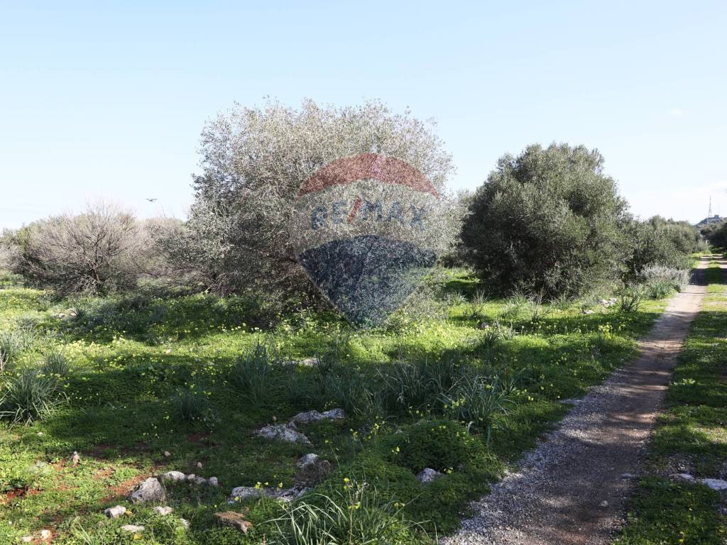 Terreno a Cinisi in Contrada Feudo Orsa - Foto 2