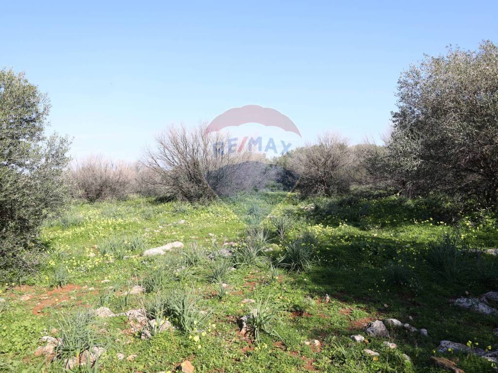 Terreno a Cinisi in Contrada Feudo Orsa - Foto 4