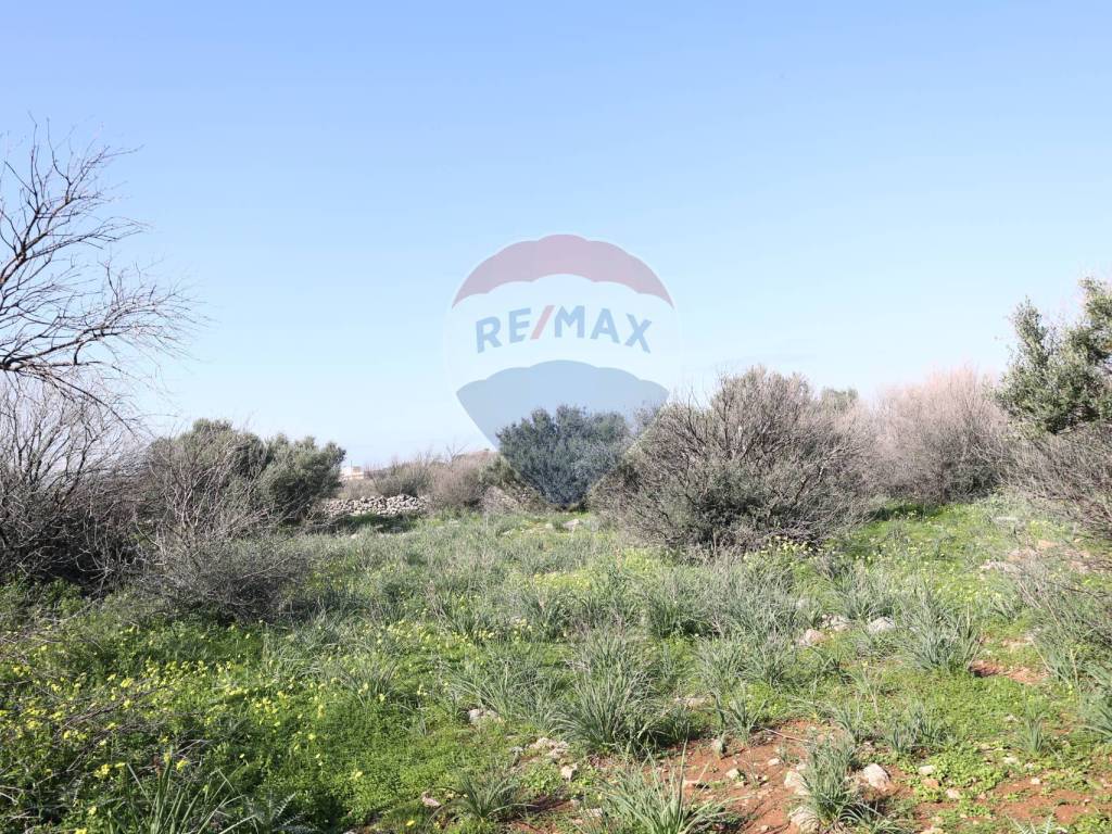 Terreno a Cinisi in Contrada Feudo Orsa - Foto 5