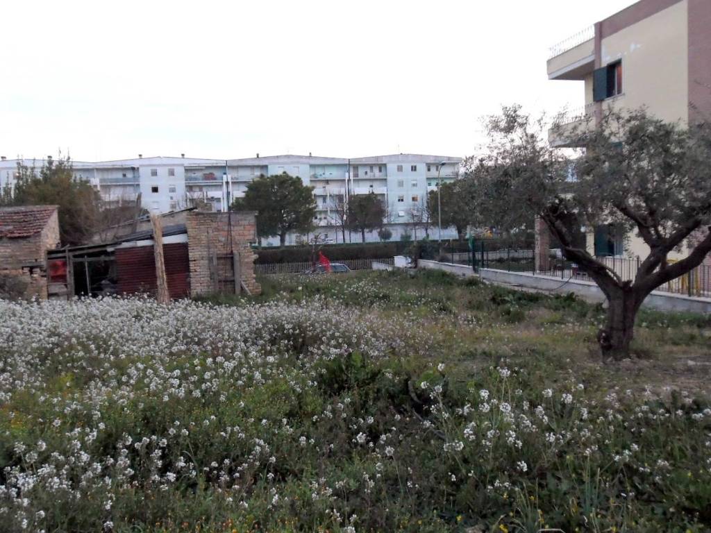 Terreno a San benedetto del tronto in Via Gronchi - Foto 4