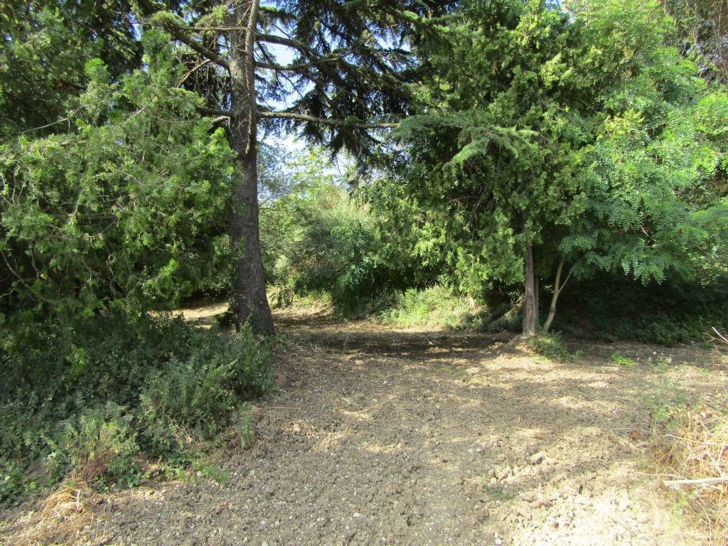 Rustico / casale a Chiaravalle in Via Antonio Gramsci, 1 - Foto 2