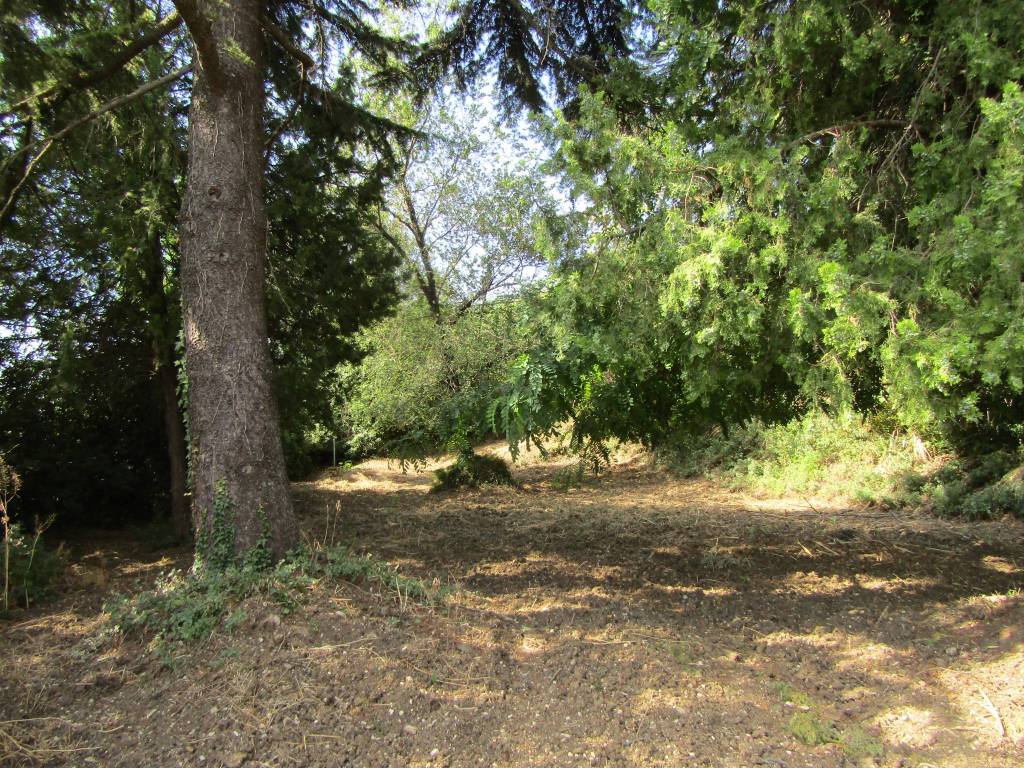 Rustico / casale a Chiaravalle in Via Antonio Gramsci, 1 - Foto 3