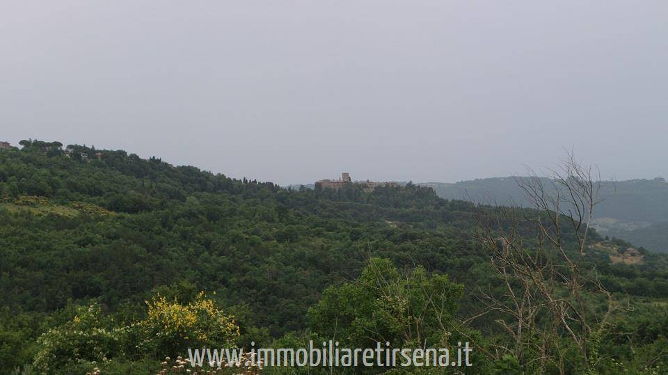 Rustico / casale a Parrano - Foto 5