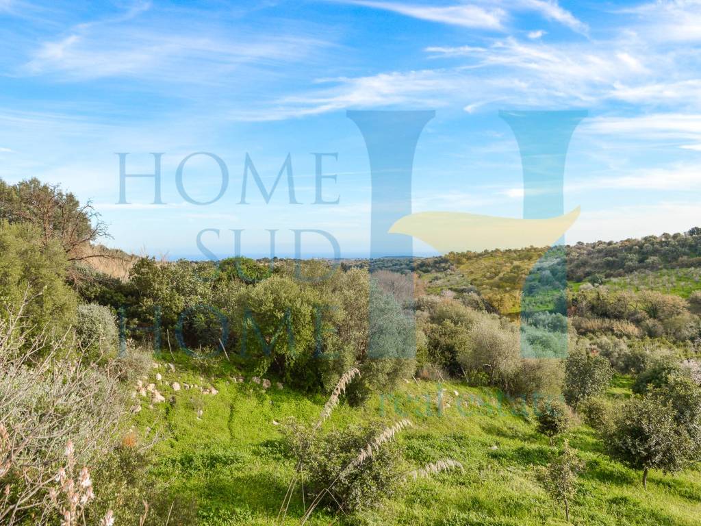 Terreno a Noto in Via Tommaso Fazello, 228 - Foto 2