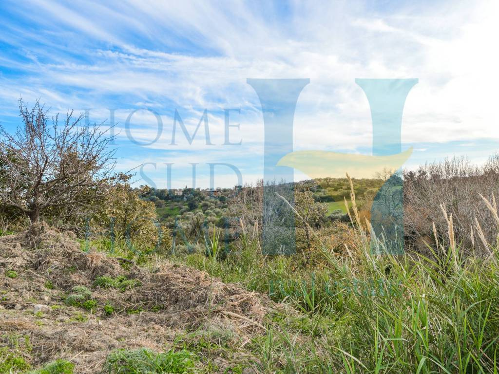 Terreno a Noto in Via Tommaso Fazello, 228 - Foto 5