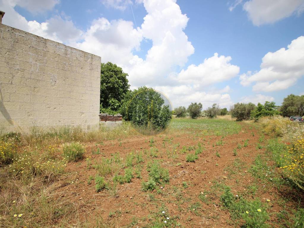 Rustico / casale a Zollino in Via Madonna di Loreto - Foto 4