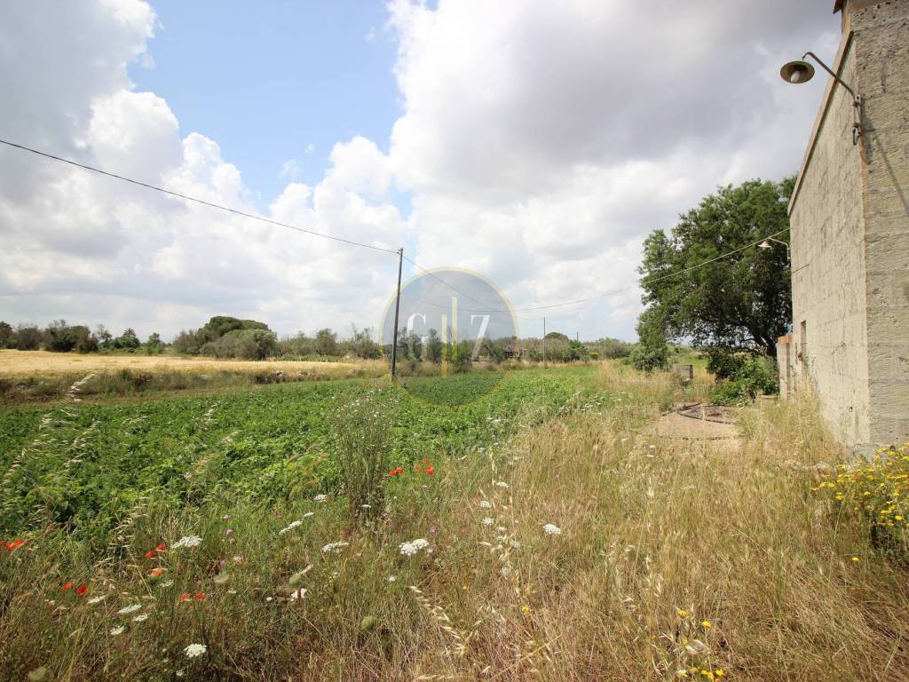 Rustico / casale a Zollino in Via Madonna di Loreto - Foto 5