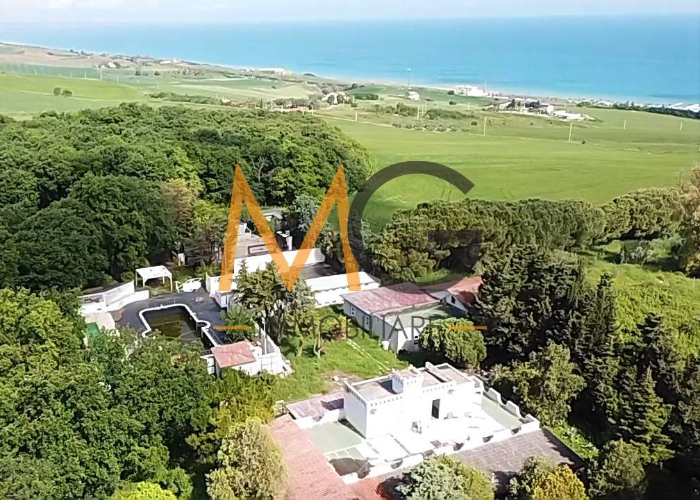 immagine di copertina