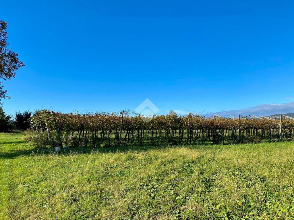 Terreno a Caprino veronese in piazza stringa, 13 - Foto 3