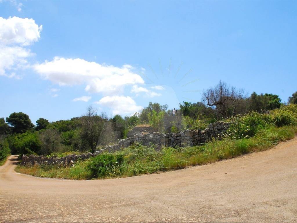 Terreno a Morciano di leuca in Strada Vicinale Salvo Barbarano - Foto 3