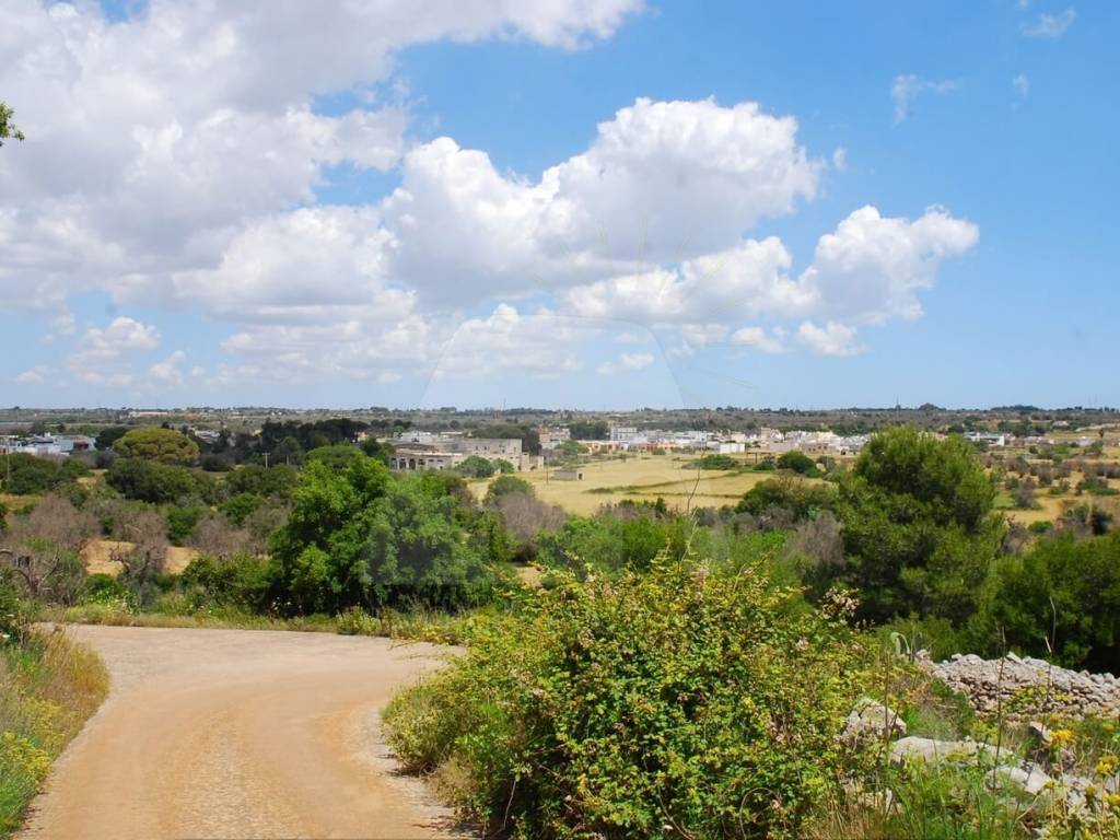 Terreno a Morciano di leuca in Strada Vicinale Salvo Barbarano - Foto 4