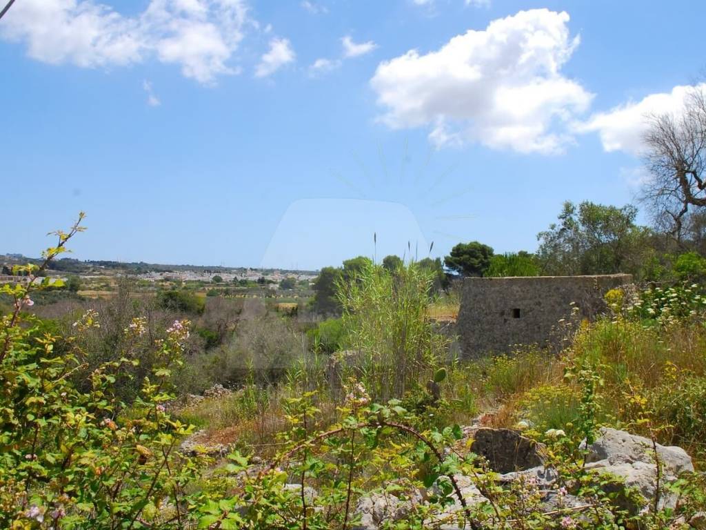 Terreno a Morciano di leuca in Strada Vicinale Salvo Barbarano - Foto 5