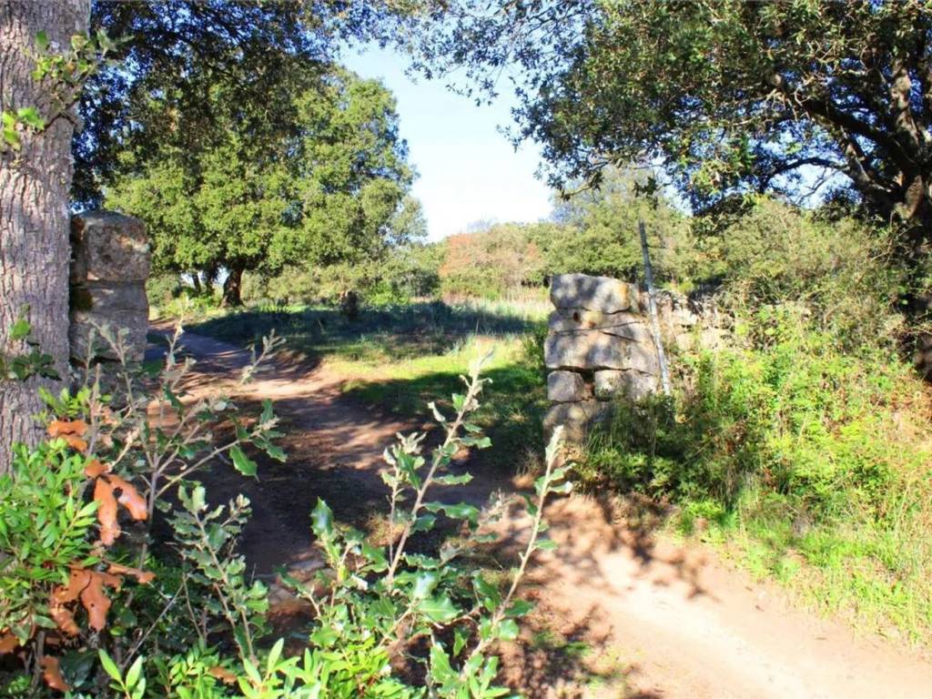 Terreno a Telti - Foto 2