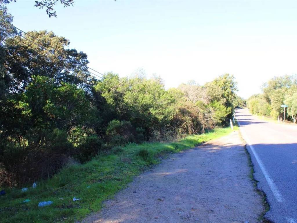 Terreno a Telti - Foto 4