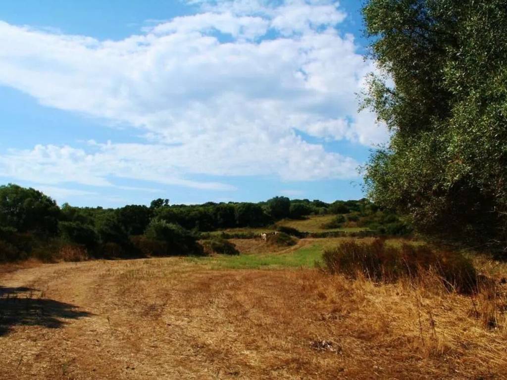 Terreno a Telti - Foto 4