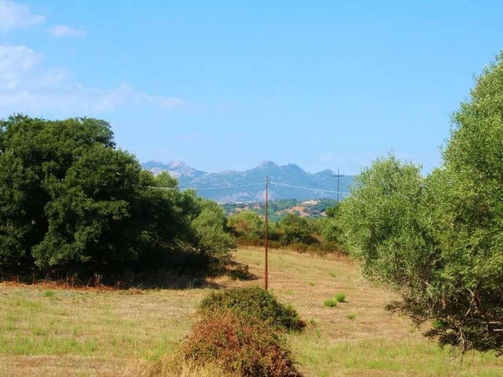 Terreno a Telti - Foto 5