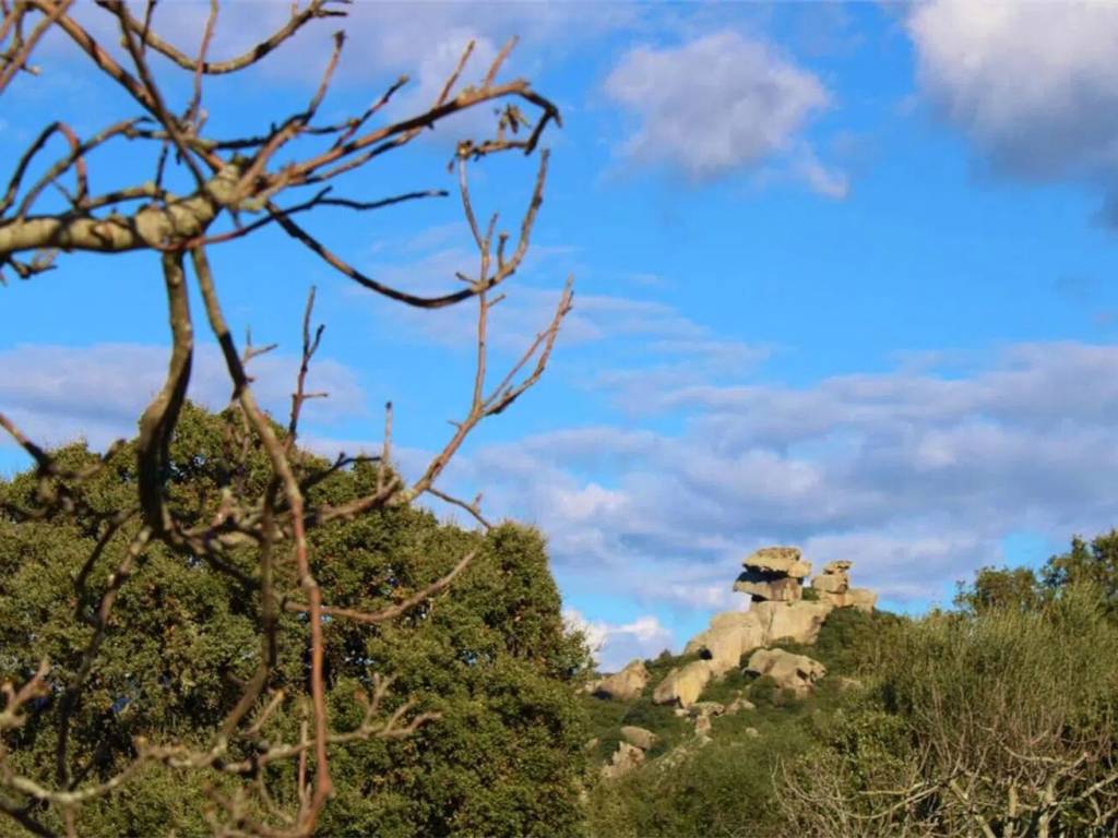 Terreno a Telti in Strada Senza Nome - Foto 2