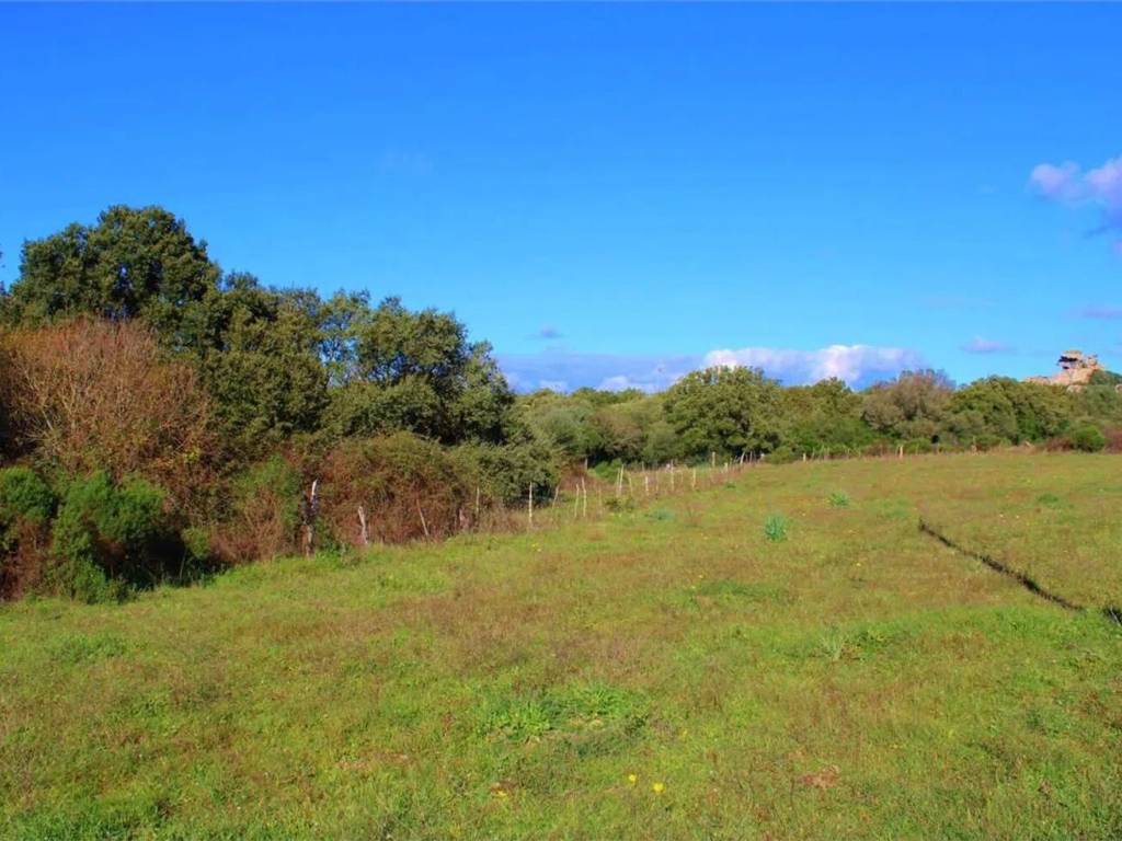 Terreno a Telti in Strada Senza Nome - Foto 3