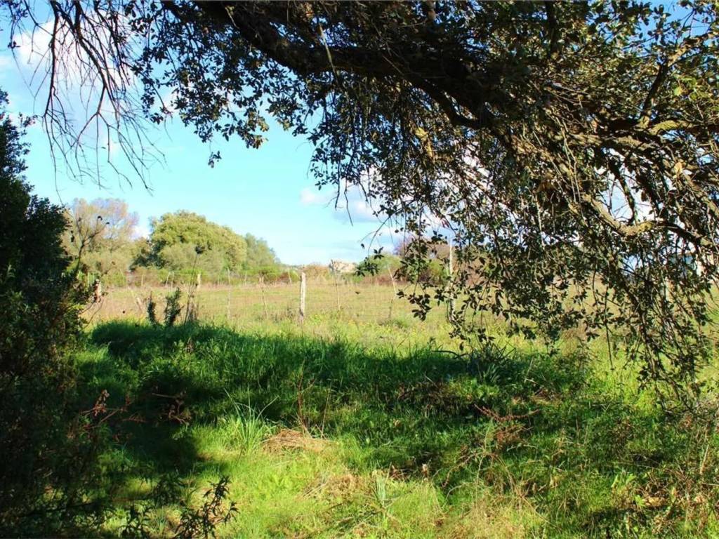 Terreno a Telti in Strada Senza Nome - Foto 4