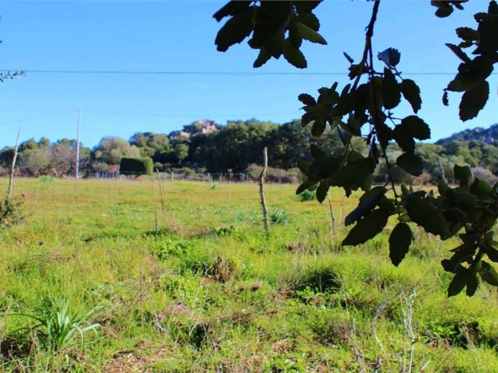 Terreno a Telti in Strada Senza Nome - Foto 5