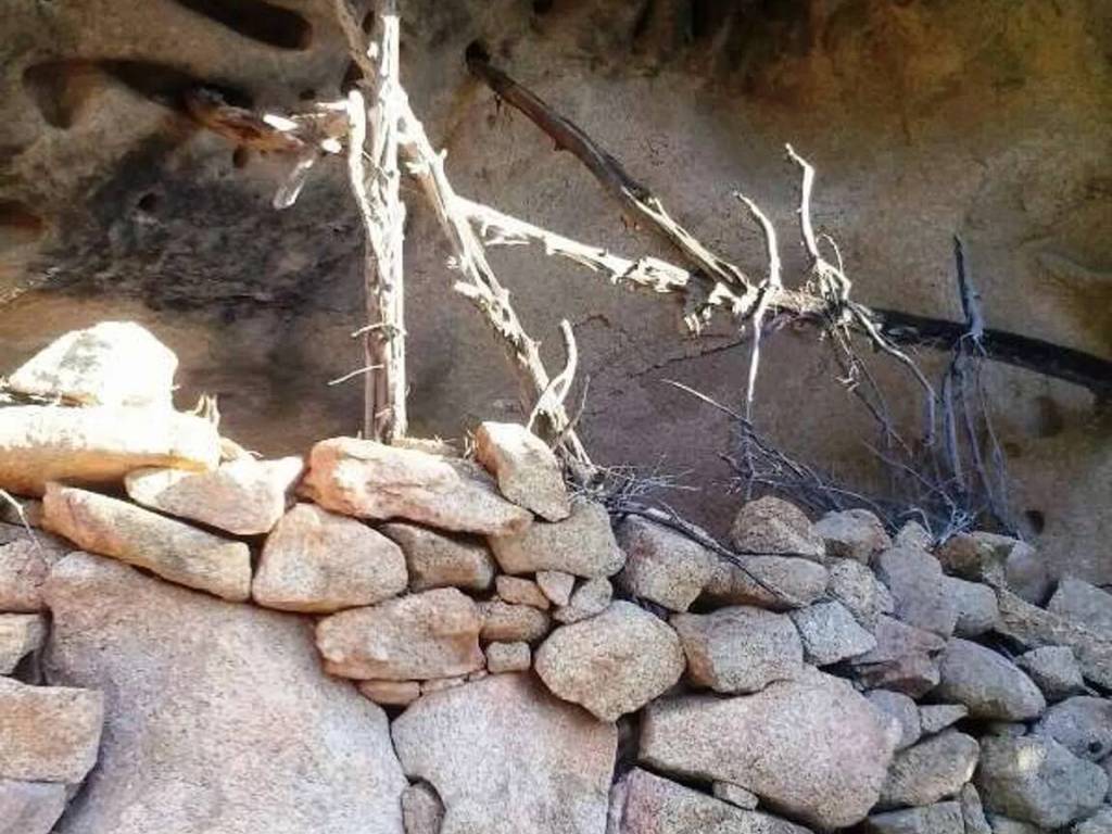 Terreno a Sant'antonio di gallura - Foto 3