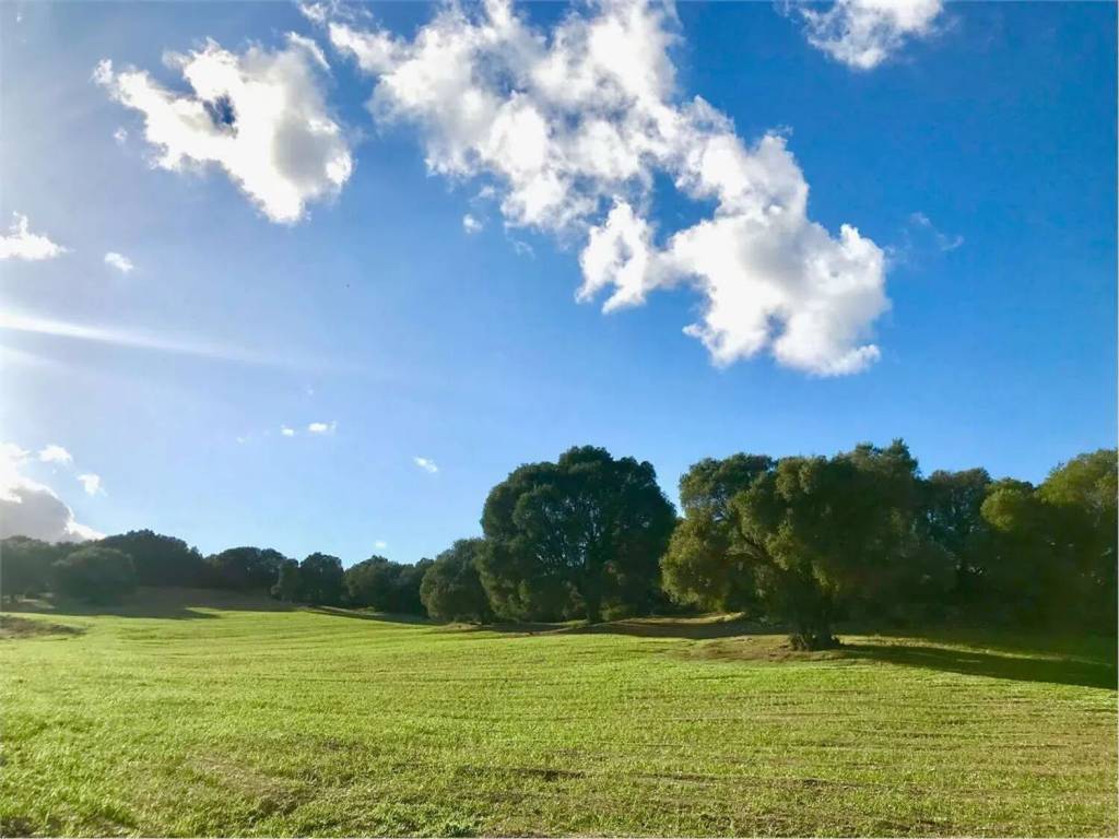 Terreno a Olbia in Quartiere Baratta - Tannaule - Foto 2