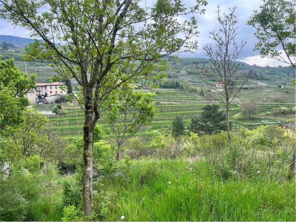 Terreno a Rovereto - Foto 2
