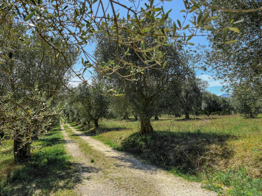 Villa a Maiolati spontini in Via Cimitero, 20 - Foto 4