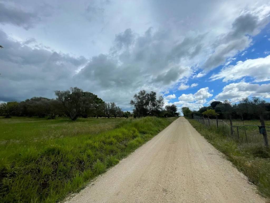 Terreno a Marta in Strada Delle Madonne S.N.C. - Foto 3