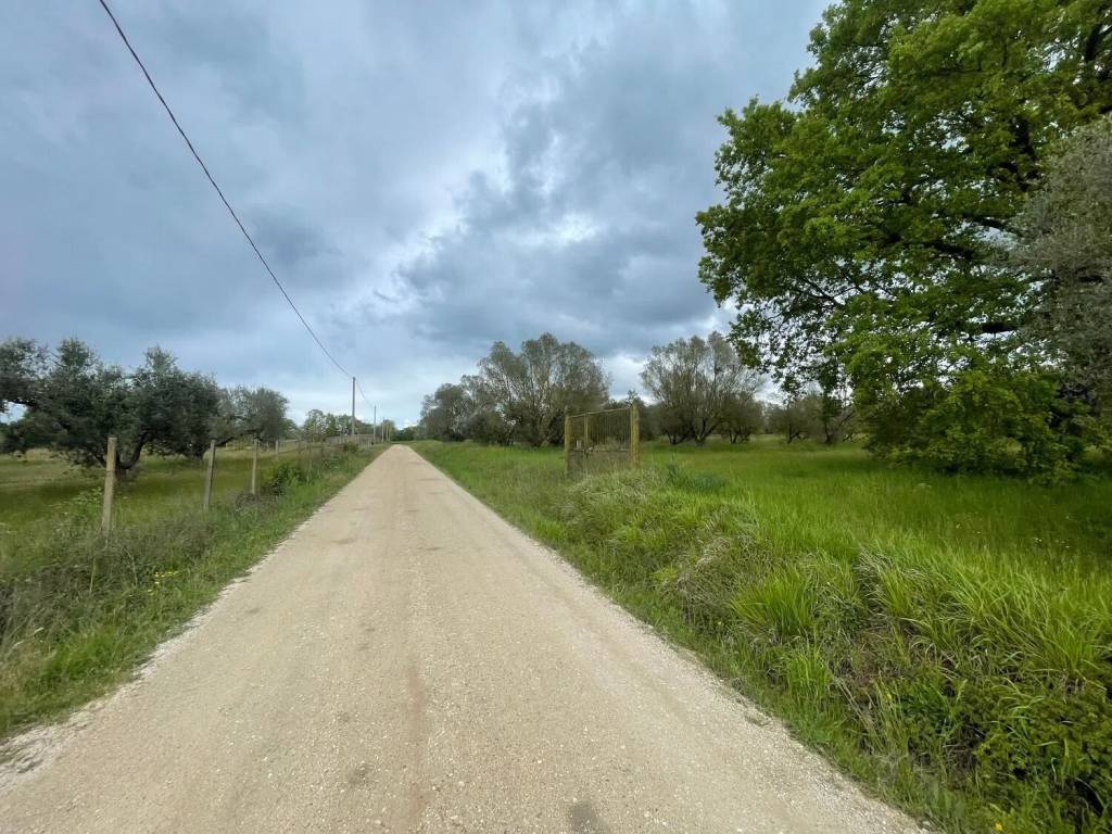 Terreno a Marta in Strada Delle Madonne S.N.C. - Foto 4