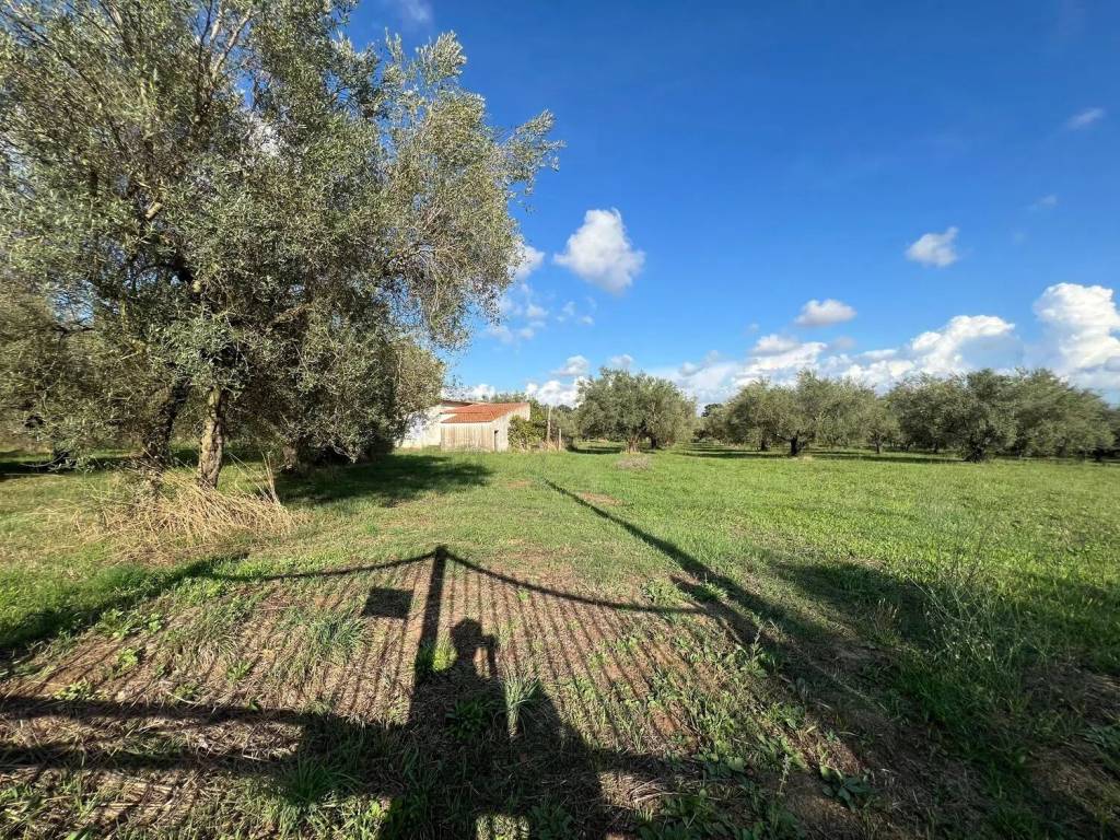 Rustico / casale a Tuscania in Strada Provinciale Martana S.N.C. - Foto 2